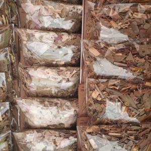 Pacotinhos de Ervas com Intenção Amor – Banhos, Defumações e Rituais Energéticos