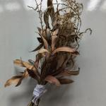 Vassoura Energética Astral – Energia da Benzedeira | Bruxa NADA