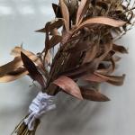 Vassoura Energética Astral – Energia da Benzedeira | Bruxa NADA