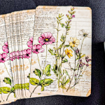 Herbário Lenormand – A Magia das Ervas em 36 Cartas